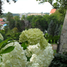 Noce i Dnie - apartamenty i pokoje, Kazimierz Dolny — photo 4
