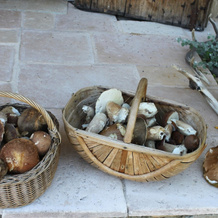 Léone Haute, Saint-Avit-Riviere — photo 4