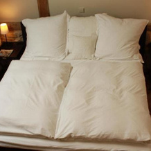 Boardinghouse Hotel Bonne Suite, 圣莱昂-罗特 — 照片 2