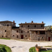 Azienda Agricola Palaia, Пелаго — фото 3
