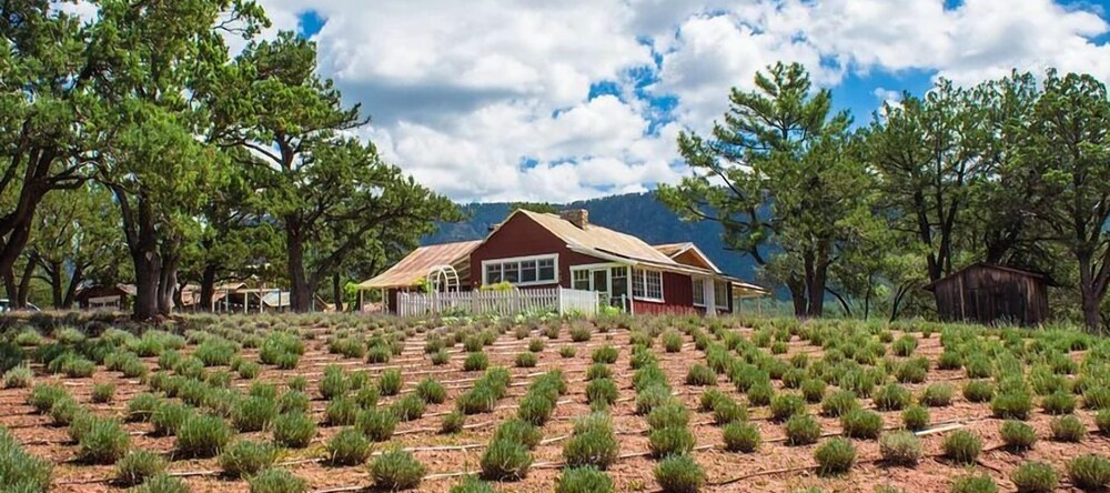 Pine Cabin With Sweeping Views! Private, Peaceful Getaway! Fun for Family! by Redawning, Pine — photo 1