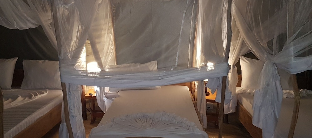 Selous Mapumziko Lodge, Млока — фото 1