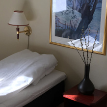 Gjestehuset Ålgård, 埃兹达尔 — 照片 2