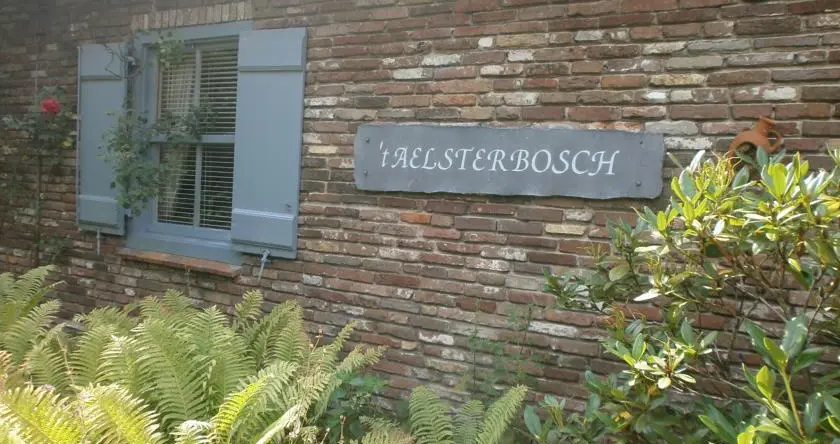 B&B T Aelsterbosch, Эмнес — фото 1