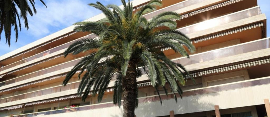 Appartement Menton, 3 pièces, 4 personnes - FR-1-196-226, 芒通 — 照片 1