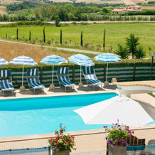 Agriturismo Case Nuove, Кастеллина Мариттима — фото 5
