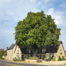 The Crown Inn, Питерборо — фото 5