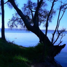 Waterfront Jervis Bay Escape Cooinda, 桑克楚里波因特 — 照片 5