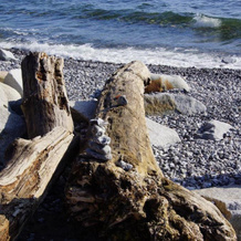 Urlaub auf der Insel Rügen, 吕根岛贝尔根 — 照片 2