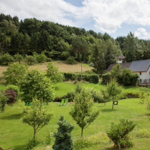 Lavish Apartment in Merschbach near Forest, Merschbach — photo 3