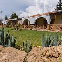 Trikalioti's Estate, Palouki — photo 3