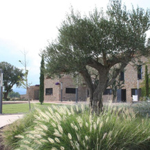 Hotel Mas Oliveres Pla de Palau, 利尔斯 — 照片 5