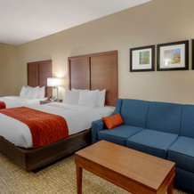 Comfort Inn & Suites Canton Riverstone Area, Canton — photo 3