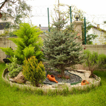 Villa Kurtuldu, Gemlik — photo 4