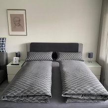 Apartment Goethe, Вайль-на-Рейне — фото 3