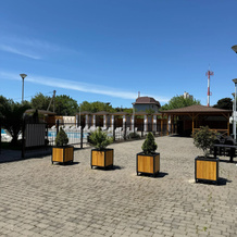 Слон, Сочи — фото 4