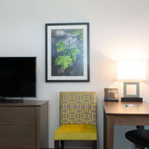 La Quinta Inn & Suites by Wyndham Tampa Brandon Regency Park, 布兰登 — 照片 5