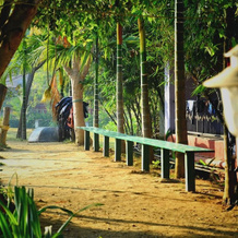 Magenta Resort Dandeli, 隆达 — 照片 5
