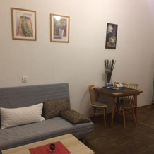 Apartment Ujezd, Прага — фото 4