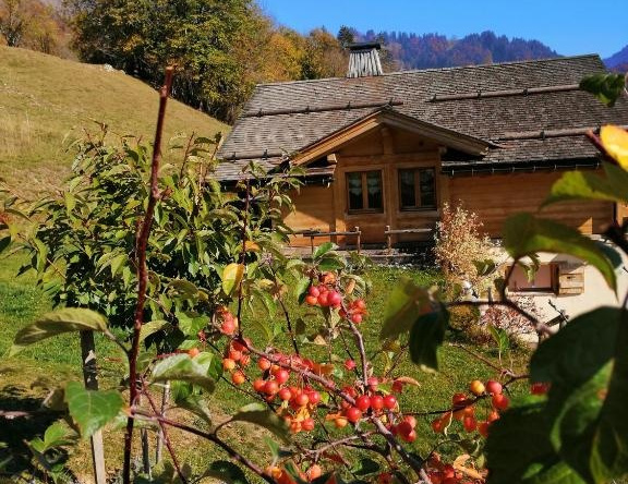 Chalet L'étale, 拉吉塔兹 — 照片 1