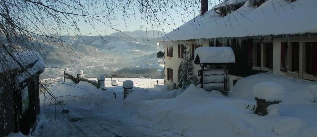 Auberge du Grammont, Ramonchamp — photo 1