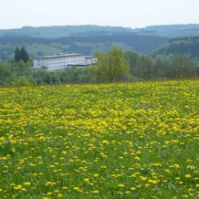 Hotel Wartburg Winterberg, Winterberg — photo 5