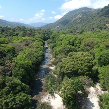 Tayrona Deep Forest Posadas, Los Naranjos — photo 2