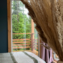Novy Dom U Sosnovogo Lesa Guest house, 伊戈里别墅 — 照片 2