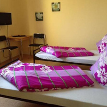 Erler Gstezimmer, Gelsenkirchen — photo 5