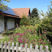 Meir´s Ferienwohnung, 钦青 — 照片 2
