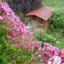 Gästehaus Rosengarten im Nahetal, 基尔恩 — 照片 5