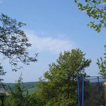 Landhaus Am Kalberberg, 弗林 — 照片 5