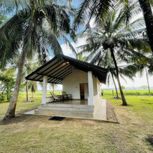 Governors Camp Wilpattu, 埃卢万库拉马 — 照片 4