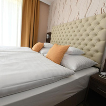 Hotel Jade - Ezüsthíd Hotel, 维斯普雷姆 — 照片 2