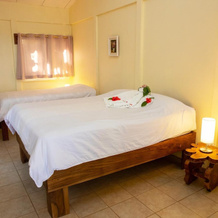 Jungle Lodge at Wild Sun Rescue, 卡布伊亚 — 照片 4