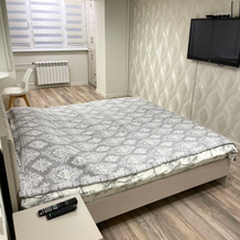 Odnokomnatnaya Kvartira V Tsentre Goroda Bishkek Flat, Bishkek — photo 2