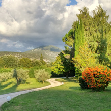 Mas De Cocagne En Provence Guest House, 马洛肯 — 照片 5