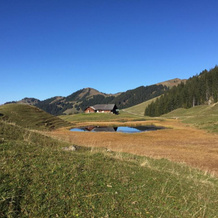 bundb-wyssen-matten, 伦克 — 照片 5