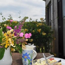 Robin Holiday Cottage, 威德科姆穆尔 — 照片 5