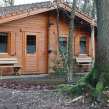 Lodges Veluwse Poort, 迪伦 — 照片 5