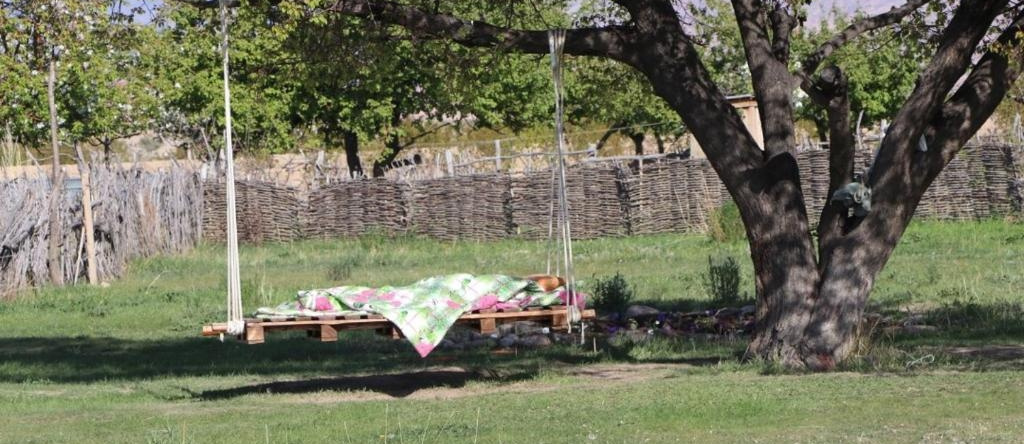 Jurten Camp Almaluu, Ton — photo 1