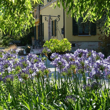 Bed & Breakfast Il Melograno, 马西尼亚诺 — 照片 4