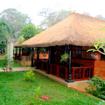 Wild Woods Spa & Resort, 古贾迪 — 照片 3
