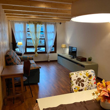 Luxury House Valencia d'Aneu, 阿尔托阿内乌 — 照片 5