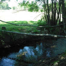 Quinta da Alma Cheia, 布朗库堡 — 照片 4