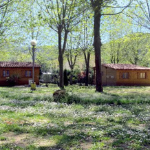 Camping La Vall d'Hostoles, Sant Feliu de Pallerols — photo 5