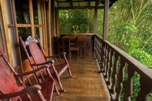 Cabañas El Bosque, Санта-Круз — фото 1