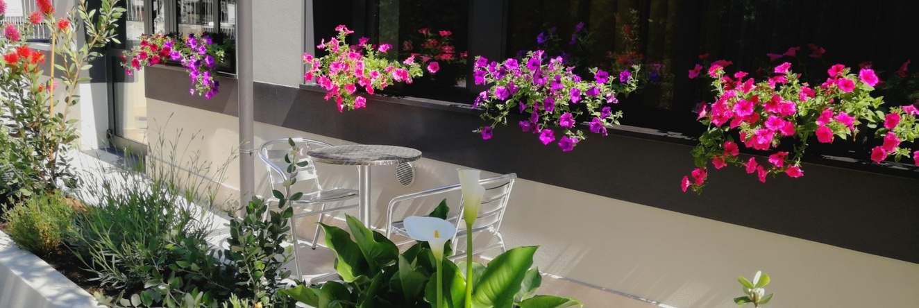 Hotel Villa Miki, 博尔迪盖拉 — 照片 1