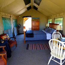 Thorn Tree Bush Camp, 库里南 — 照片 3