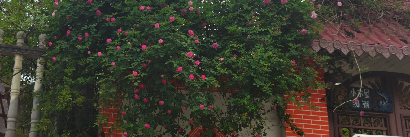 Healing East Retreat, Nanjing — photo 1